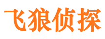 孝义市私家侦探